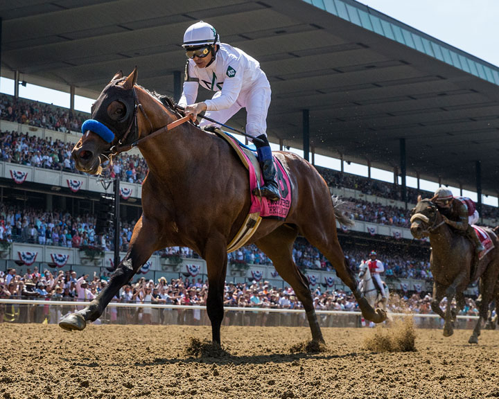 Kentucky Thoroughbred Training Facilities - WinStar Farm - Thoroughbred ...