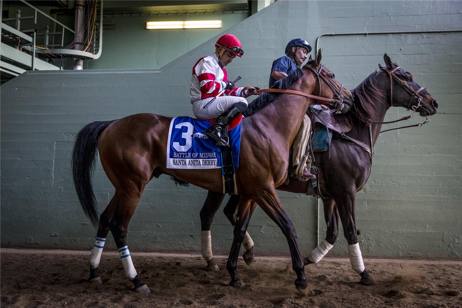 WinStar & Don Alberto purchase Kentucky Derby contender Battle of