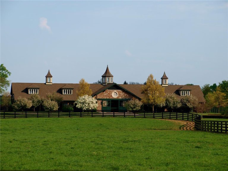 Video: NBC's First Look visits WinStar Farm - WinStar Farm