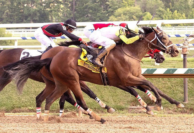 Hybrid Eclipse surges to victory in the 2023 Caesar's Wish S. at Laurel Park - Jimmy McCue photo