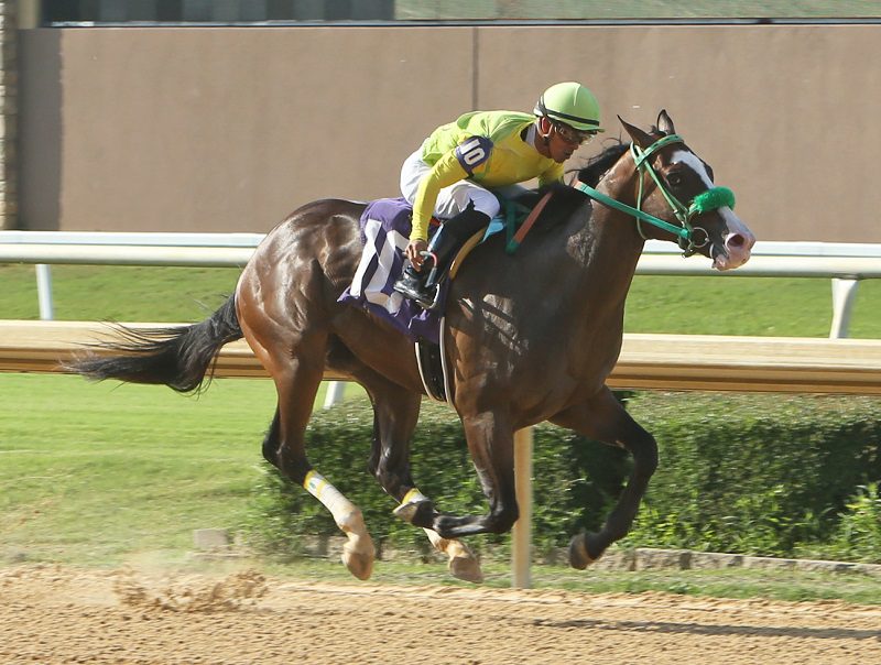 Yoshida's first winner, Third Street, scores at Lone Star Park - Dustin Orona photo