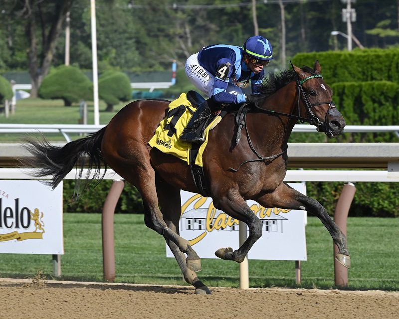 Brightwork continues unblemished career with Spinaway S. (G1) triumph ...