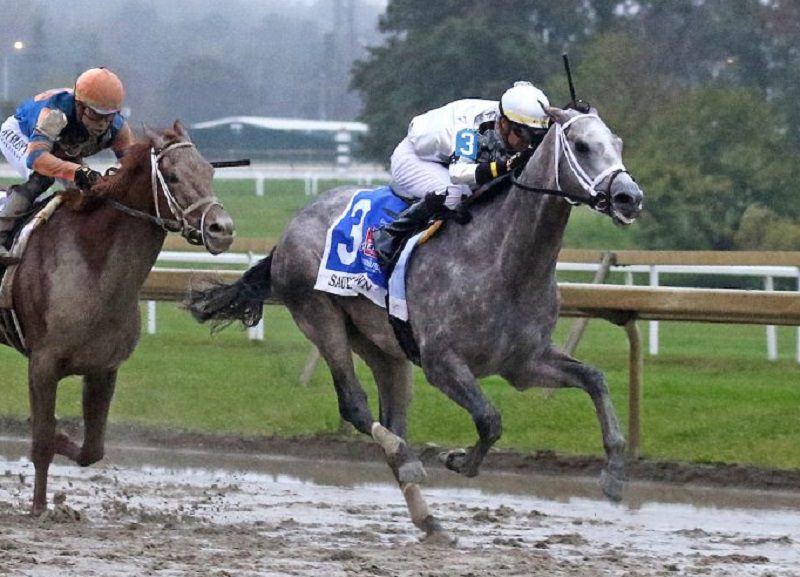 Saudi Crown wins the 2023 Pennsylvania Derby (G1) at Parx - Bill Denver/EQUI-PHOTO