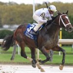 Timberlake skips to victory in the Grade 1 Champagne S. - NYRA photo