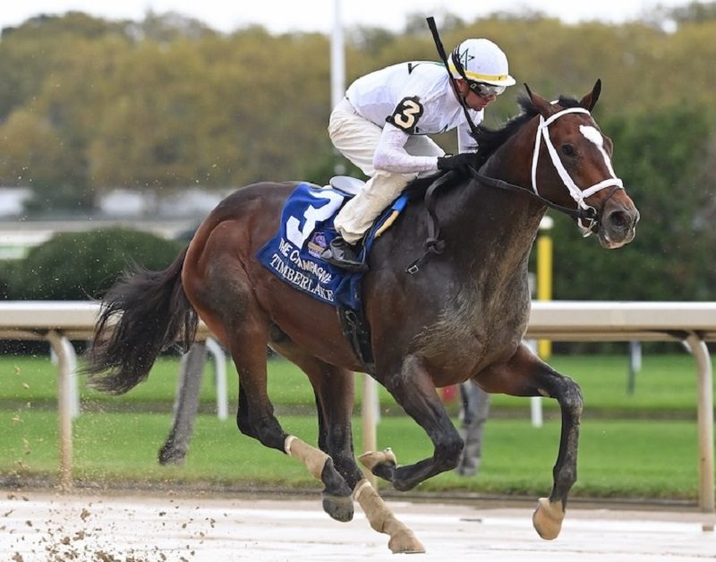 Timberlake skips to victory in the Grade 1 Champagne S. - NYRA photo