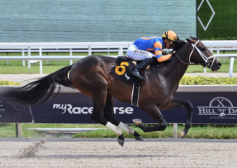 Mindframe cruises to his debut victory March 30 at Gulfstream Park - Lauren King