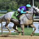 Surveillance glides to victory in the 2024 Troy S. (G3) at Saratoga - NYRA photo