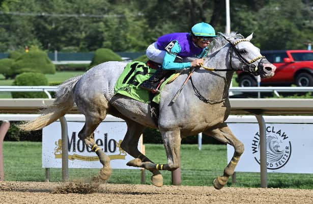 Surveillance glides to victory in the 2024 Troy S. (G3) at Saratoga - NYRA photo