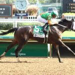 My Mane Squeeze rolls to victory in the 2024 Dogwood S. (G3) - Coady Media