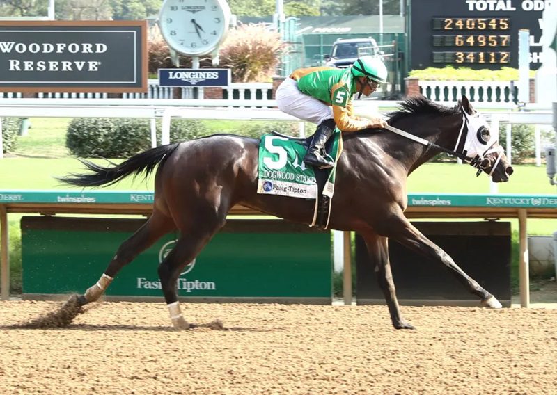 My Mane Squeeze rolls to victory in the 2024 Dogwood S. (G3) - Coady Media