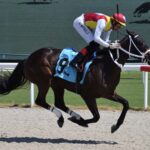 Special Aviator is an easy debut winner at Gulfstream Park - Lauren King photo