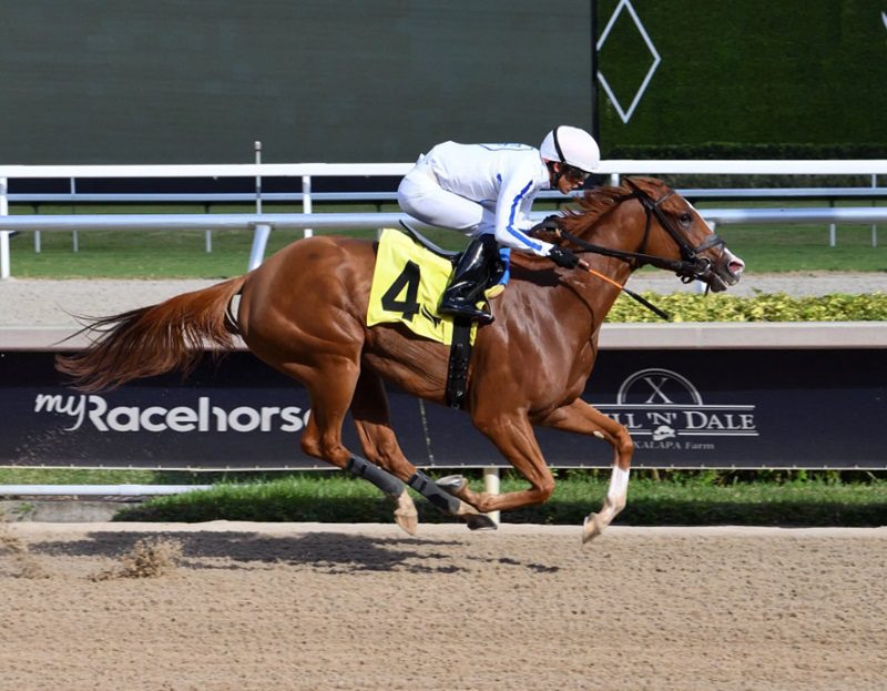 Mrs Worldwide wins the 2024 Juvenile Fillies Sprint S. at Gulfstream Park - Ryan Thompson photo