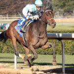 Take Charge Milady romps to victory in the Martha Washington S. - Coady Media