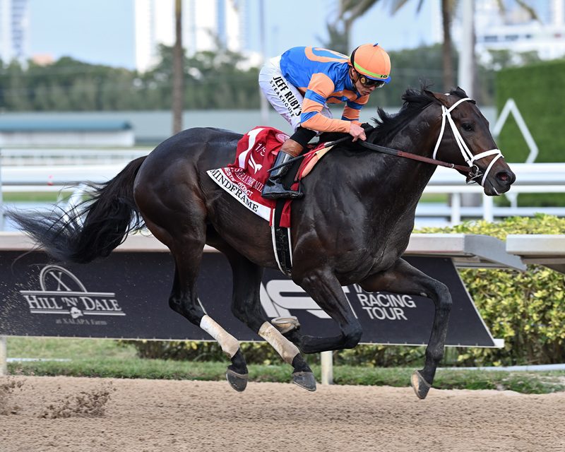 Mindframe and jockey Irad Ortiz, Jr. glide to victory in the 2025 Gulfstream Park Mile (G2) - Lauren King